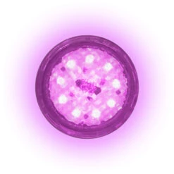 CCEI Mini BRiO II Poolscheinwerfer LED 12W (RGB) 11 CCEI Mini BRiO II Poolscheinwerfer LED 12W (RGB) -Swimmingpool Verkaufsladen CCEI Mini BRiO II Poolscheinwerfer LED 12W RGB3